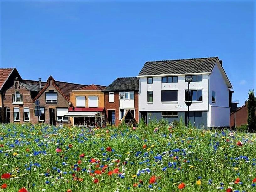 Apartmán L'Ancora Sint Annaland Exteriér fotografie